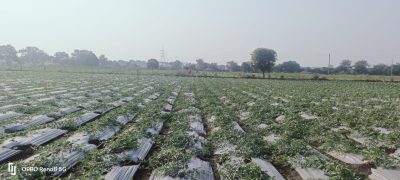 WhatsApp Image 2025-01-17 at 18.54.53_ef65db36