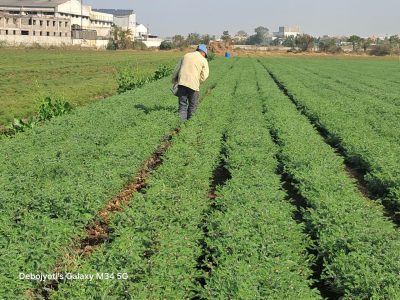 WhatsApp Image 2025-02-05 at 13.41.11_fd908771