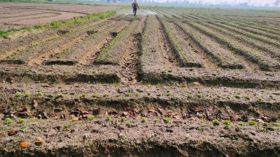 WhatsApp Image 2025-03-12 at 10.40.36_819352a6