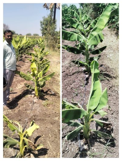 WhatsApp Image 2025-04-07 at 17.46.39_c5b7c5aa