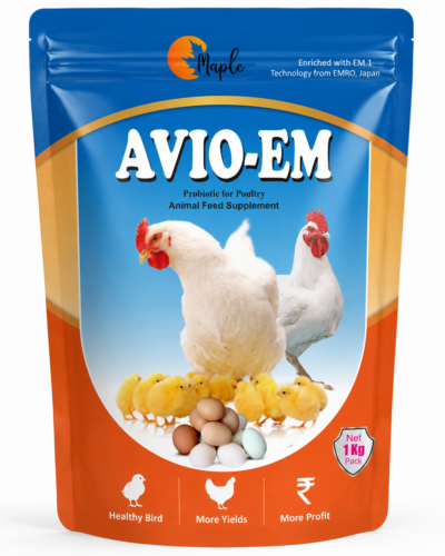 Maple AVIO-EM [Advanced Probiotic Nutrition for Healthier Birds & Better Yields]